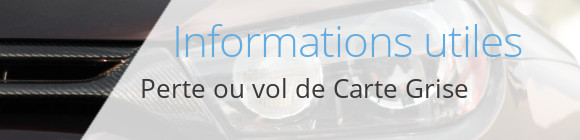 infos perte vol carte grise