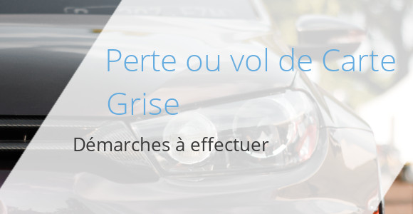 perte vol carte grise